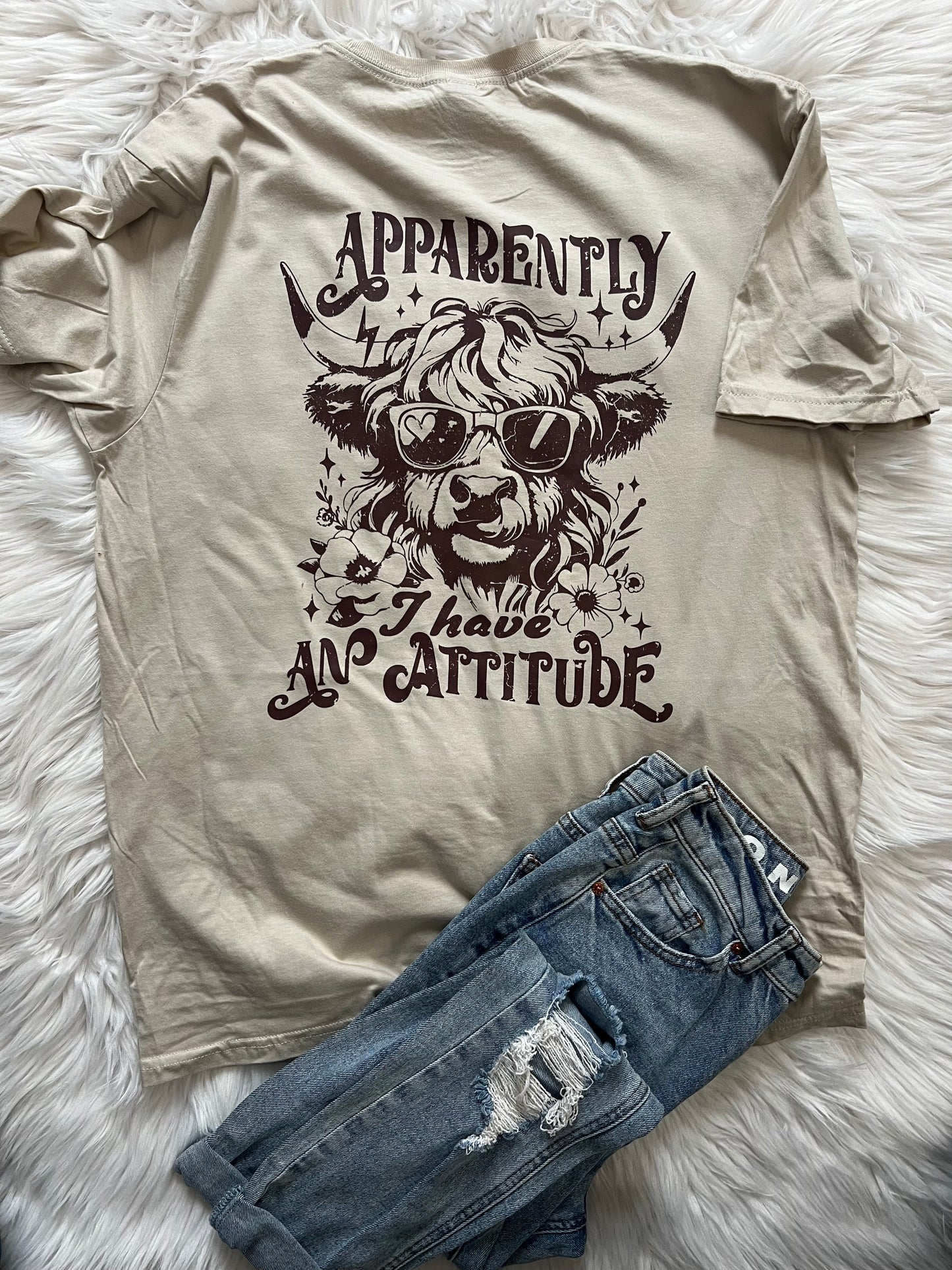 Apparently I Have an Attitude